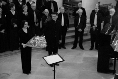 10/06/2009 St Symphorien VERSAILLES