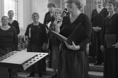 13/06/2015 St Symphorien VERSAILLES