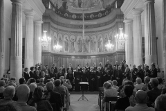 13/06/2015 St Symphorien VERSAILLES