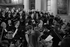 08/06/2017 St Symphorien VERSAILLES