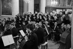 08/06/2017 St Symphorien VERSAILLES